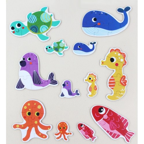Puzzle 6 in 1